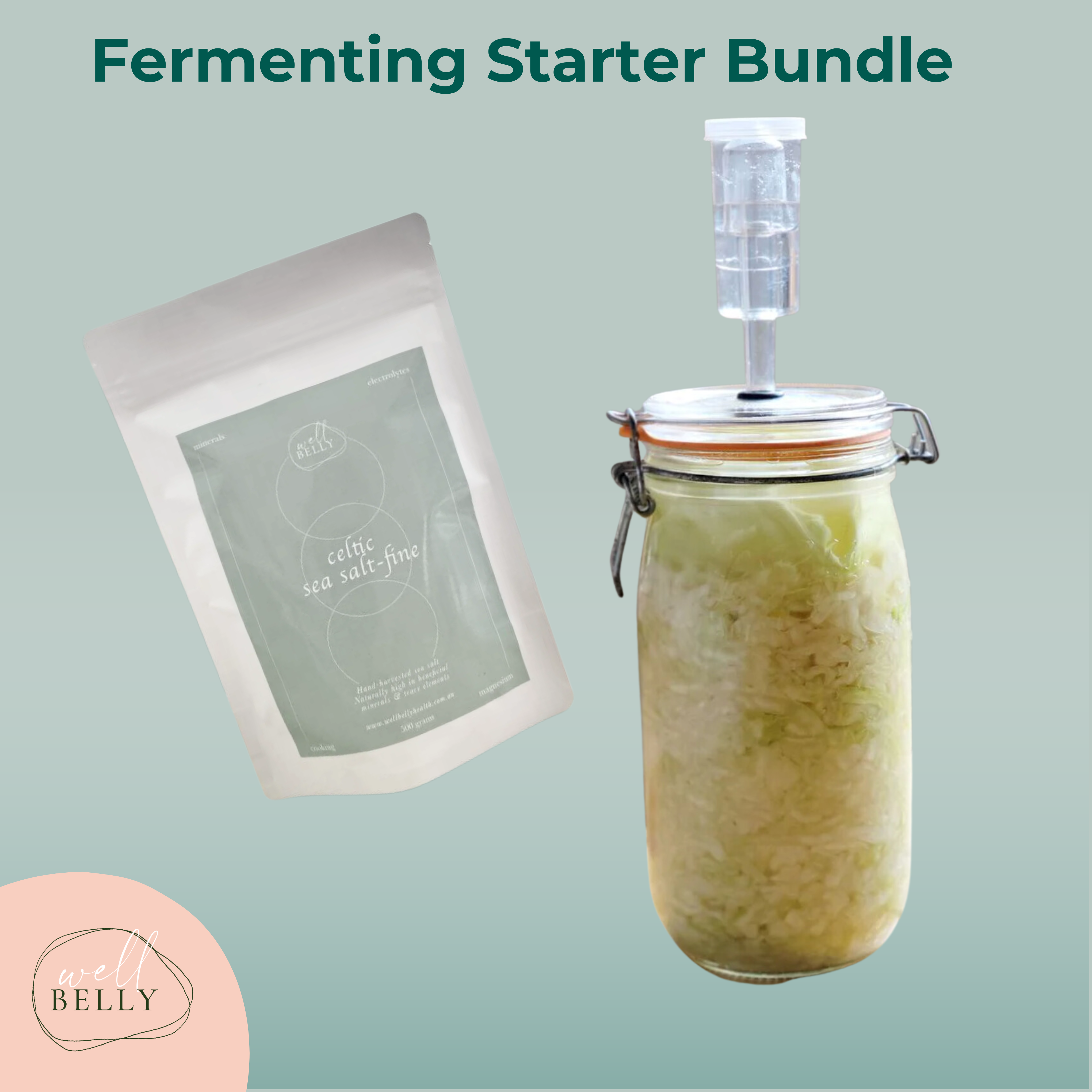 Fermentation Spring Fermenting Starter Bundle – Well Belly Health
